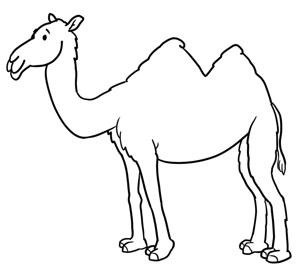 Desenho de Animais Do Deserto para colorir e imprimir: número 10