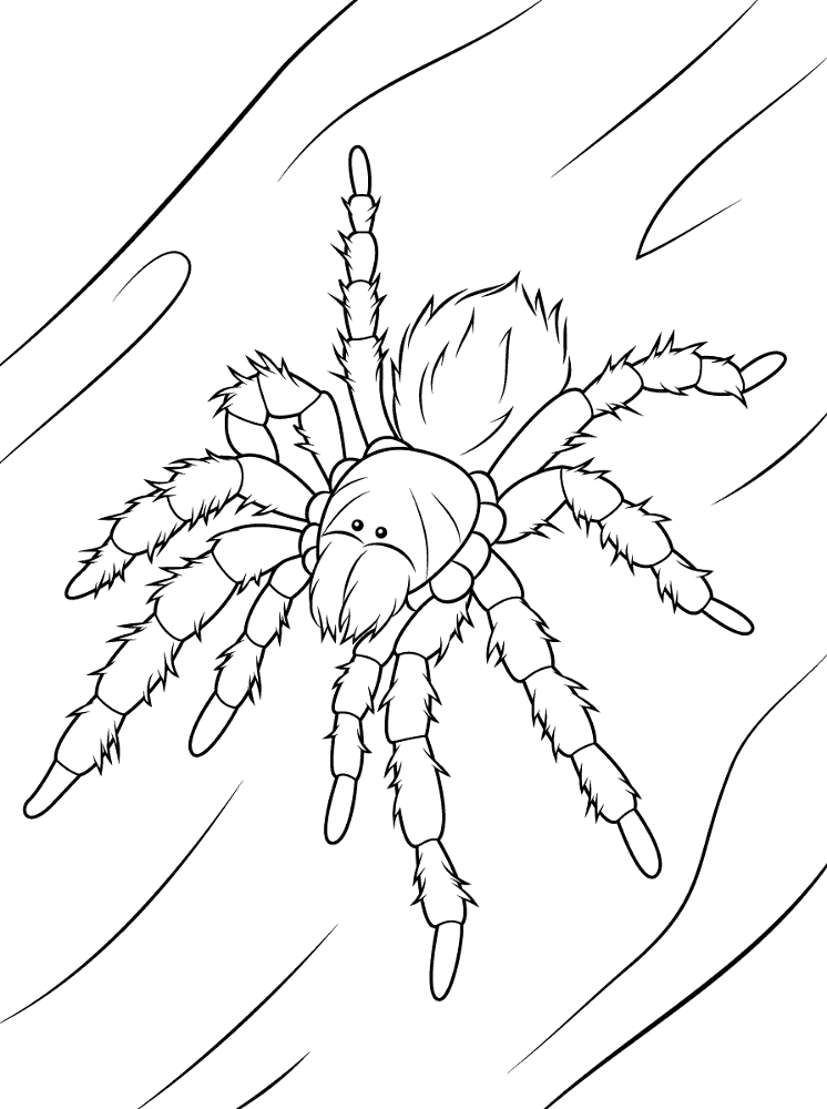 Desenho de Animais Do Deserto para colorir e imprimir: número 11