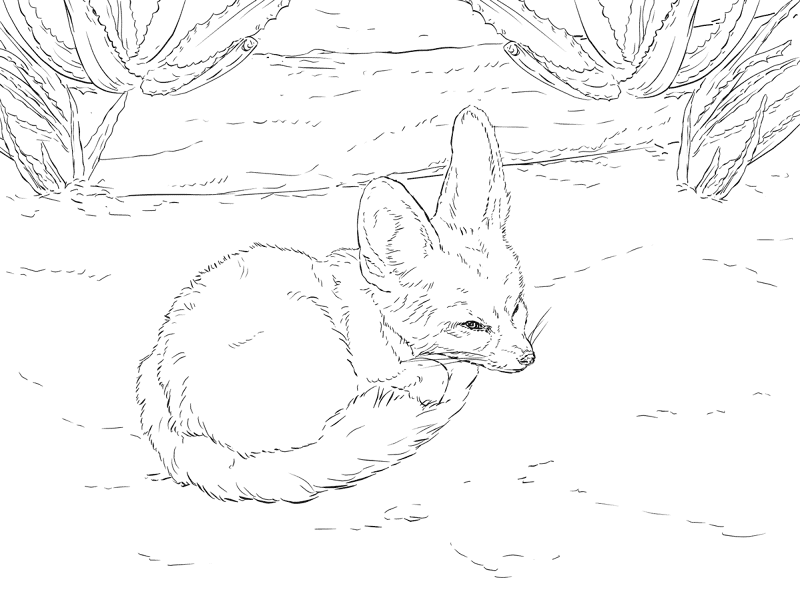 Desenho de Animais Do Deserto para colorir e imprimir: número 18