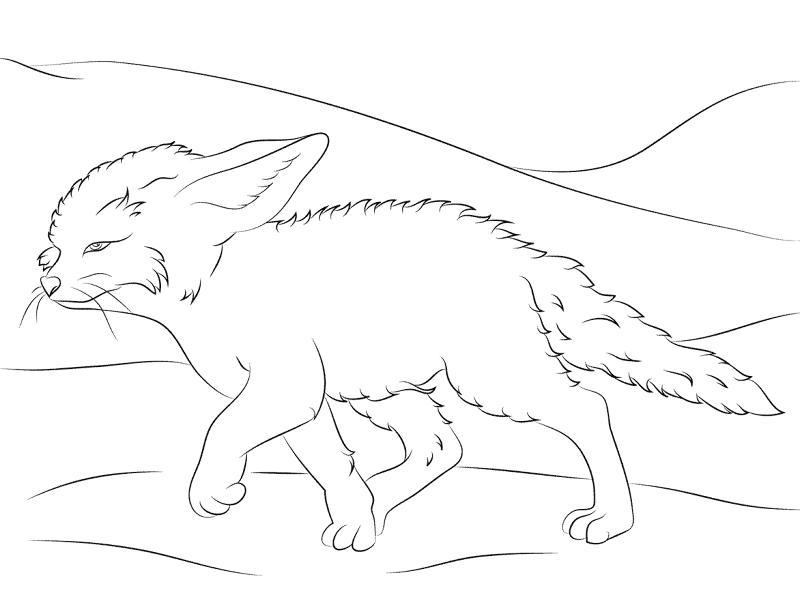Desenho de Animais Do Deserto para colorir e imprimir: número 19