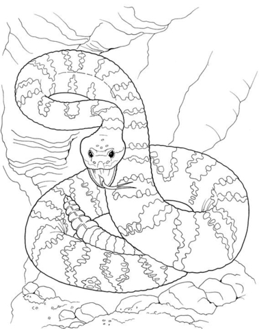 Desenho de Animais Do Deserto para colorir e imprimir: número 20