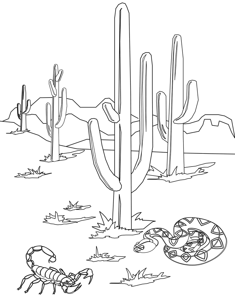 Desenho de Animais Do Deserto para colorir e imprimir: número 21