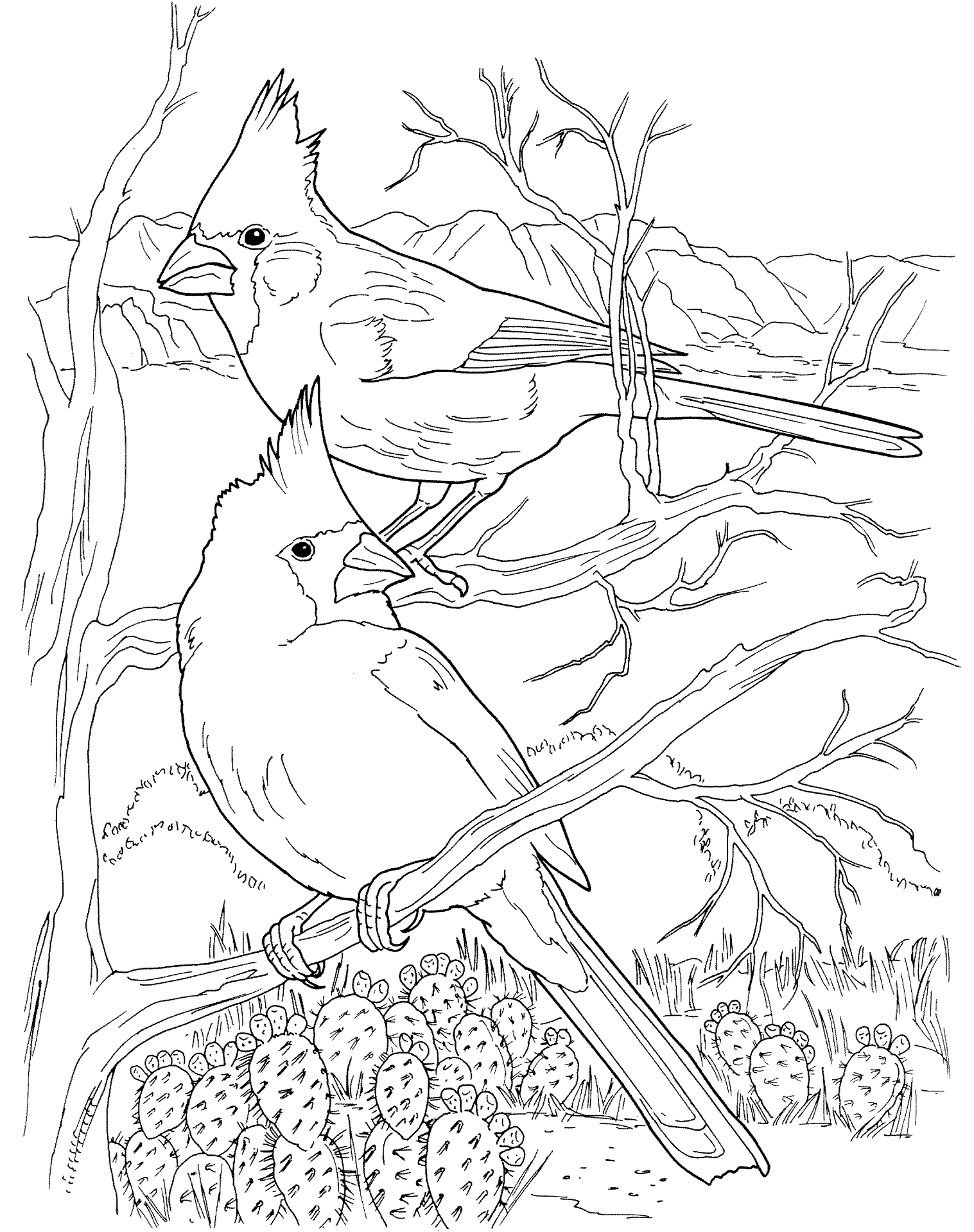 Desenho de Animais Do Deserto para colorir e imprimir: número 23