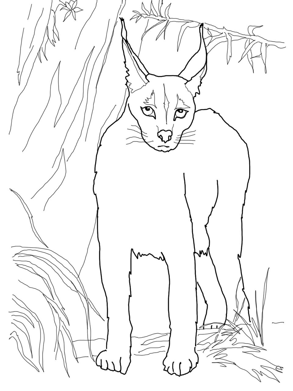 Desenho de Animais Do Deserto para colorir e imprimir: número 26