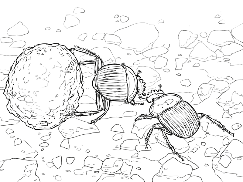Desenho de Animais Do Deserto para colorir e imprimir: número 29