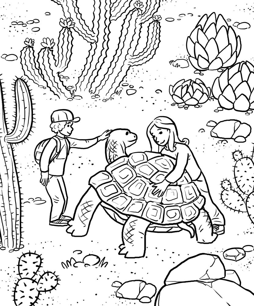 Desenho de Animais Do Deserto para colorir e imprimir: número 30