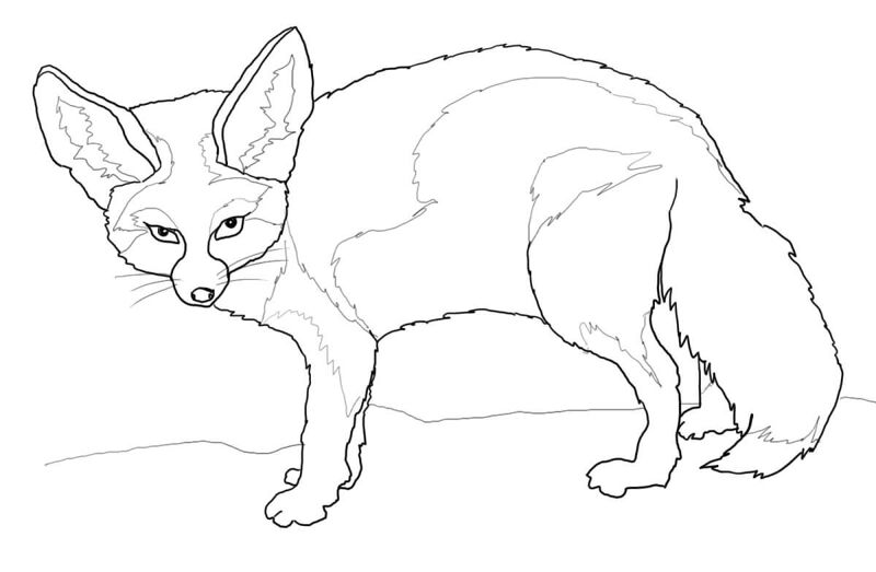 Desenho de Animais Do Deserto para colorir e imprimir: número 33