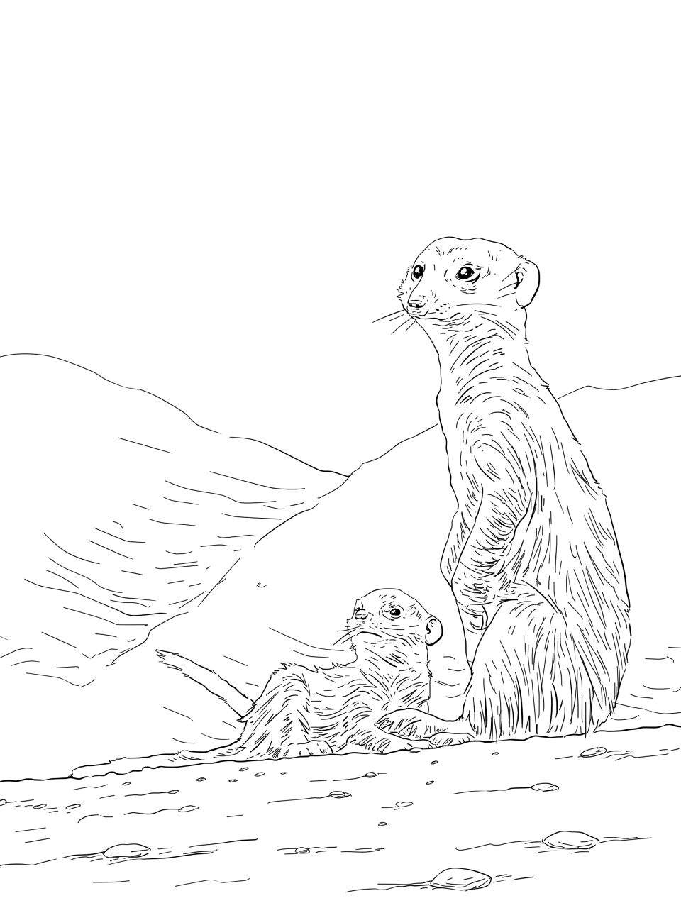 Desenho de Animais Do Deserto para colorir e imprimir: número 36