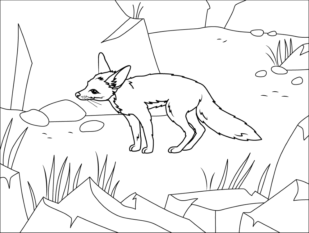 Desenho de Animais Do Deserto para colorir e imprimir: número 41