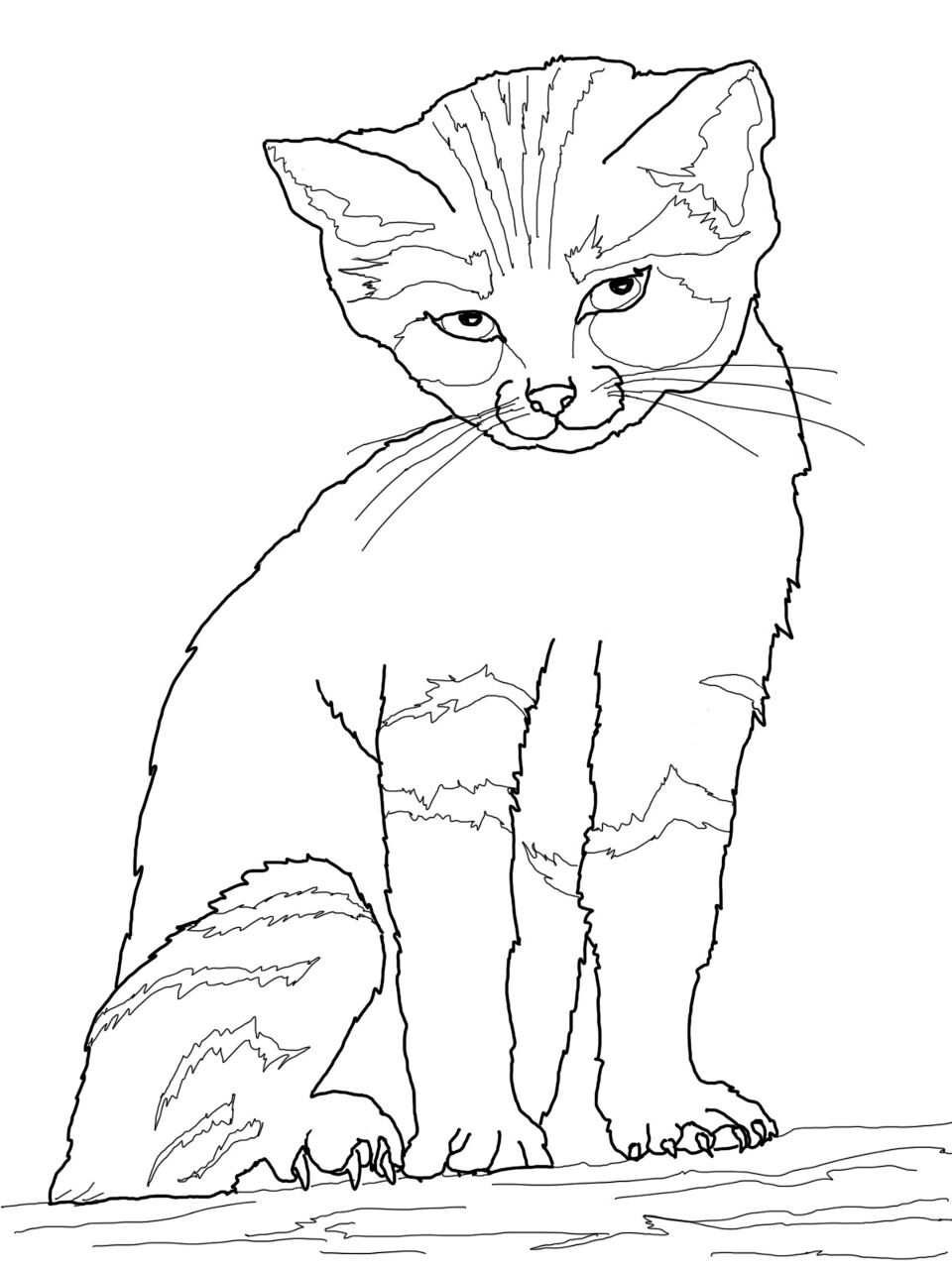 Desenho de Animais Do Deserto para colorir e imprimir: número 48