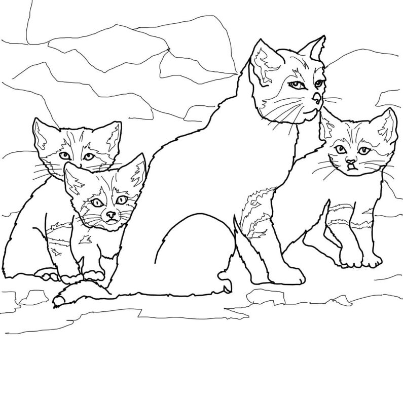 Desenho de Animais Do Deserto para colorir