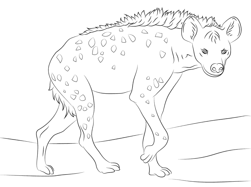 Desenho de Animais Do Deserto para colorir