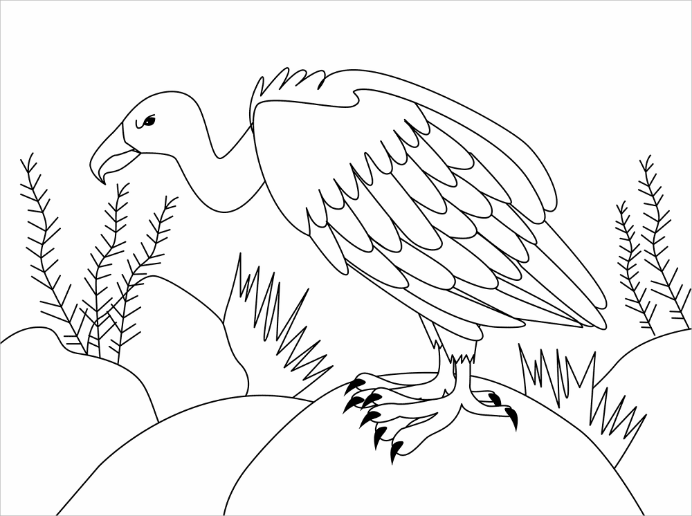 Desenho de Animais Do Deserto para colorir