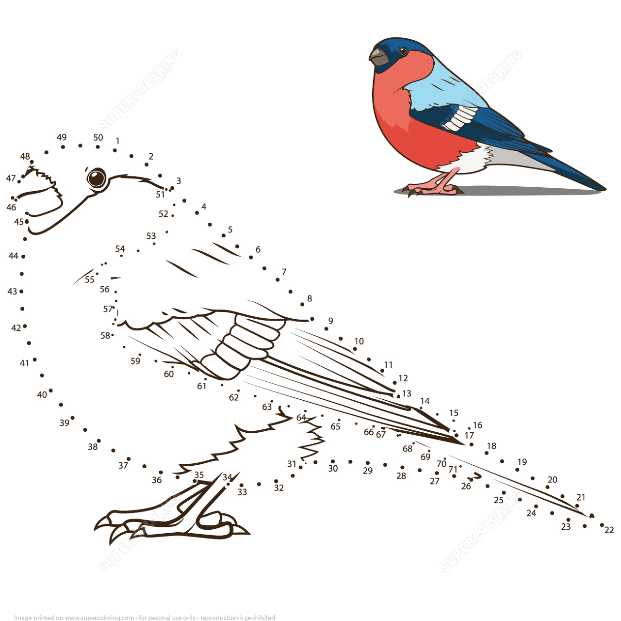 Desenho de Animais Do Inverno para colorir e imprimir: número 5