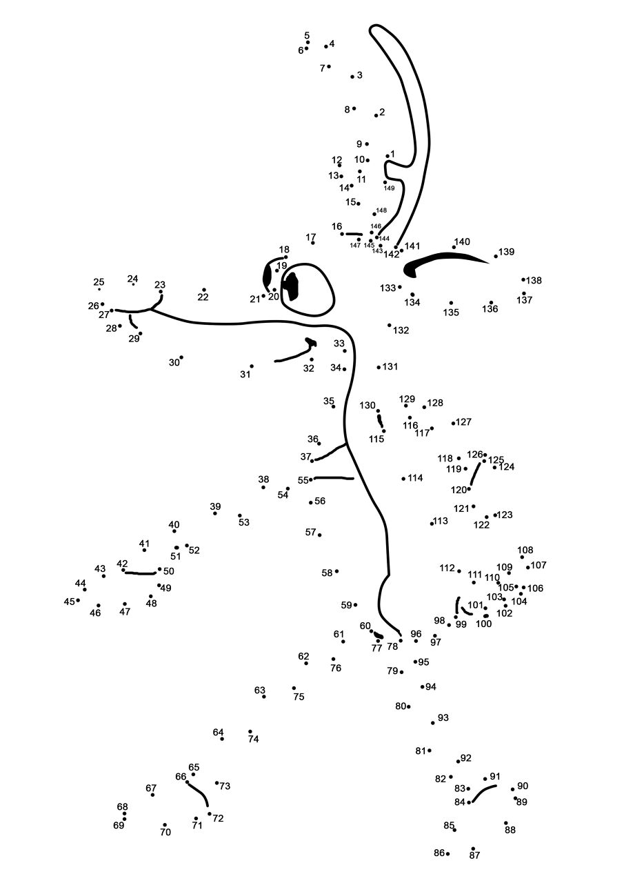 Desenho de Animais Do Inverno para colorir e imprimir: número 7