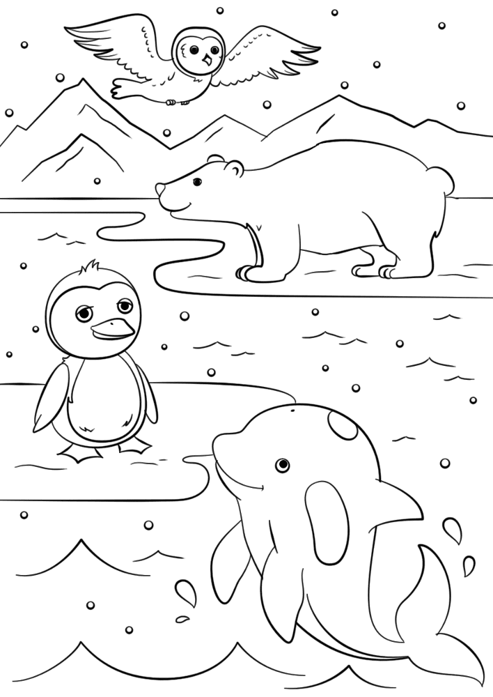 Desenho de Animais Do Inverno para colorir e imprimir: número 17