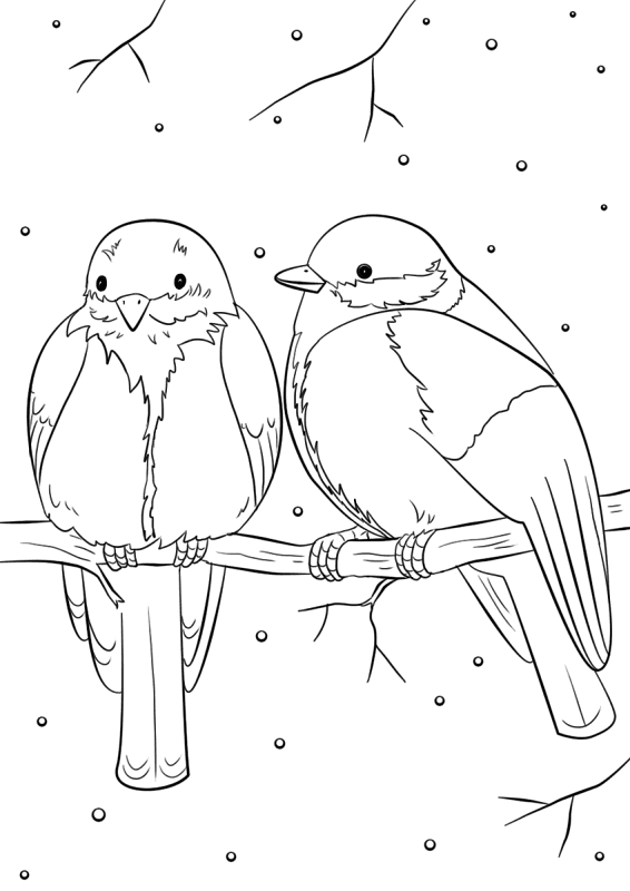 Desenho de Animais Do Inverno para colorir e imprimir: número 18