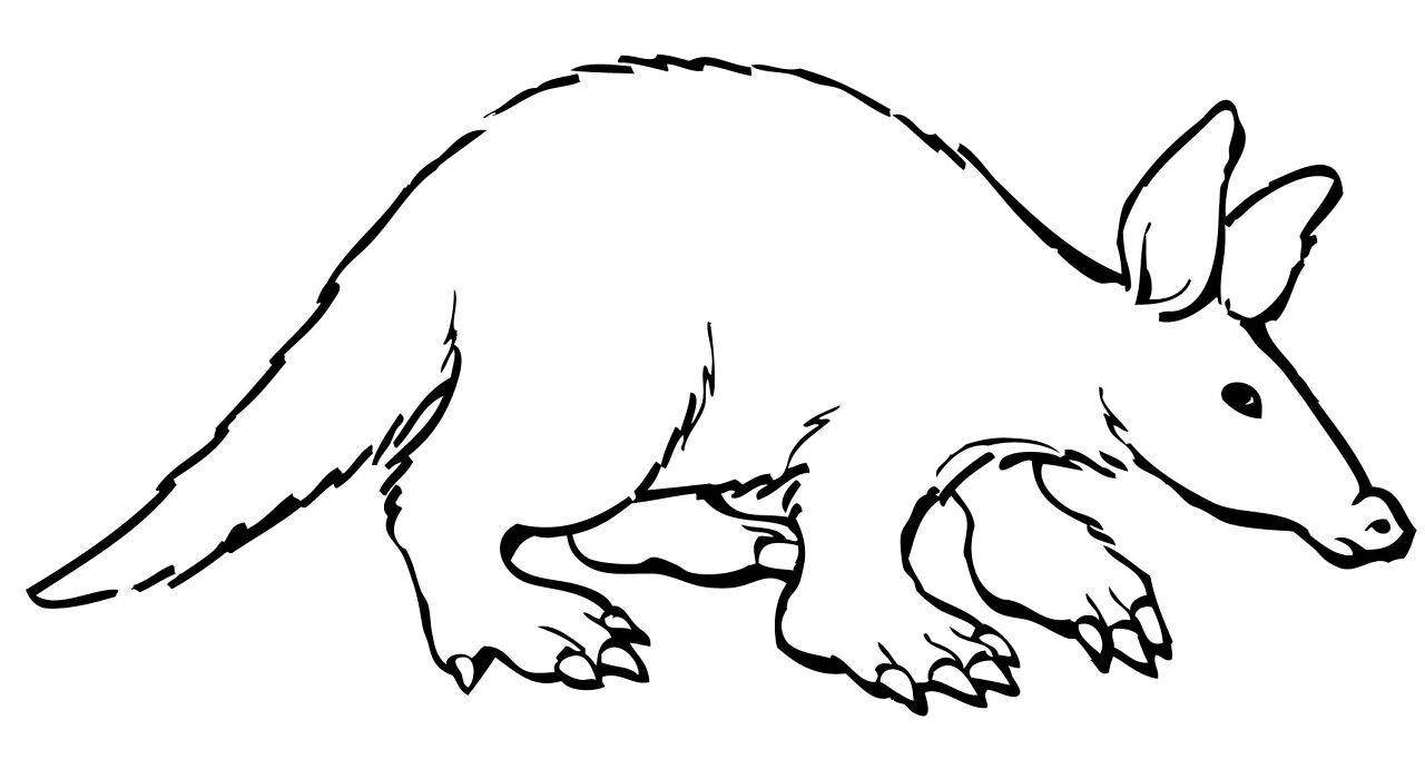 Desenho de Animais Do Safári para colorir e imprimir: número 7