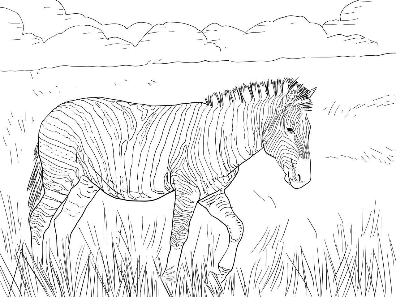 Desenho de Animais Do Safári para colorir e imprimir: número 18
