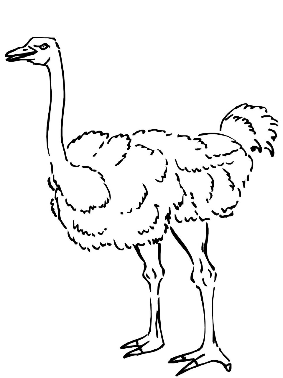Desenho de Animais Do Safári para colorir e imprimir: número 26