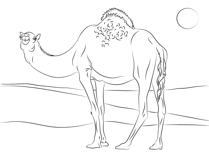 Desenho de Animais Do Safári para colorir e imprimir: número 27
