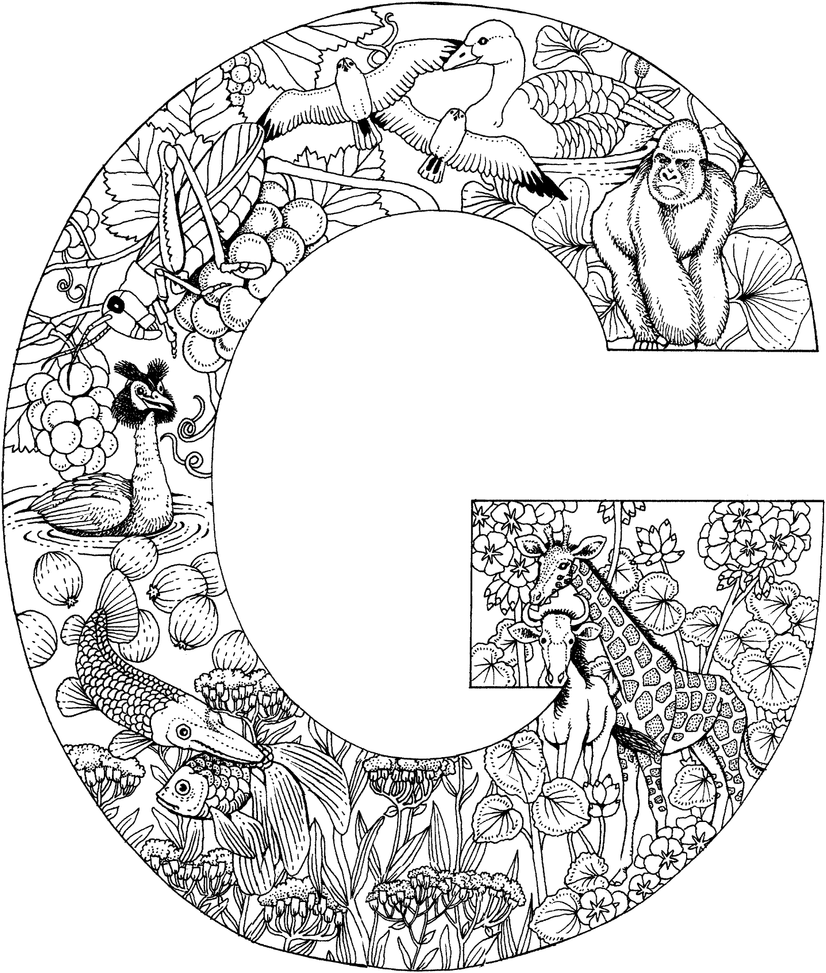 Desenho de Animais Do Safári para colorir e imprimir: número 38