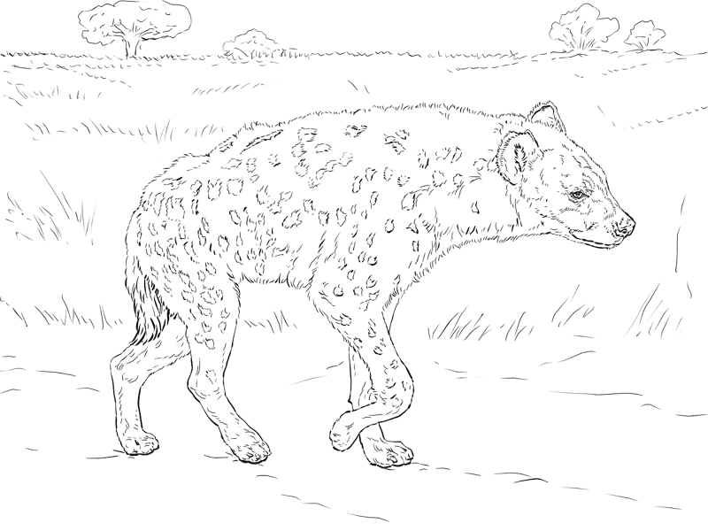 Desenho de Animais Do Safári para colorir