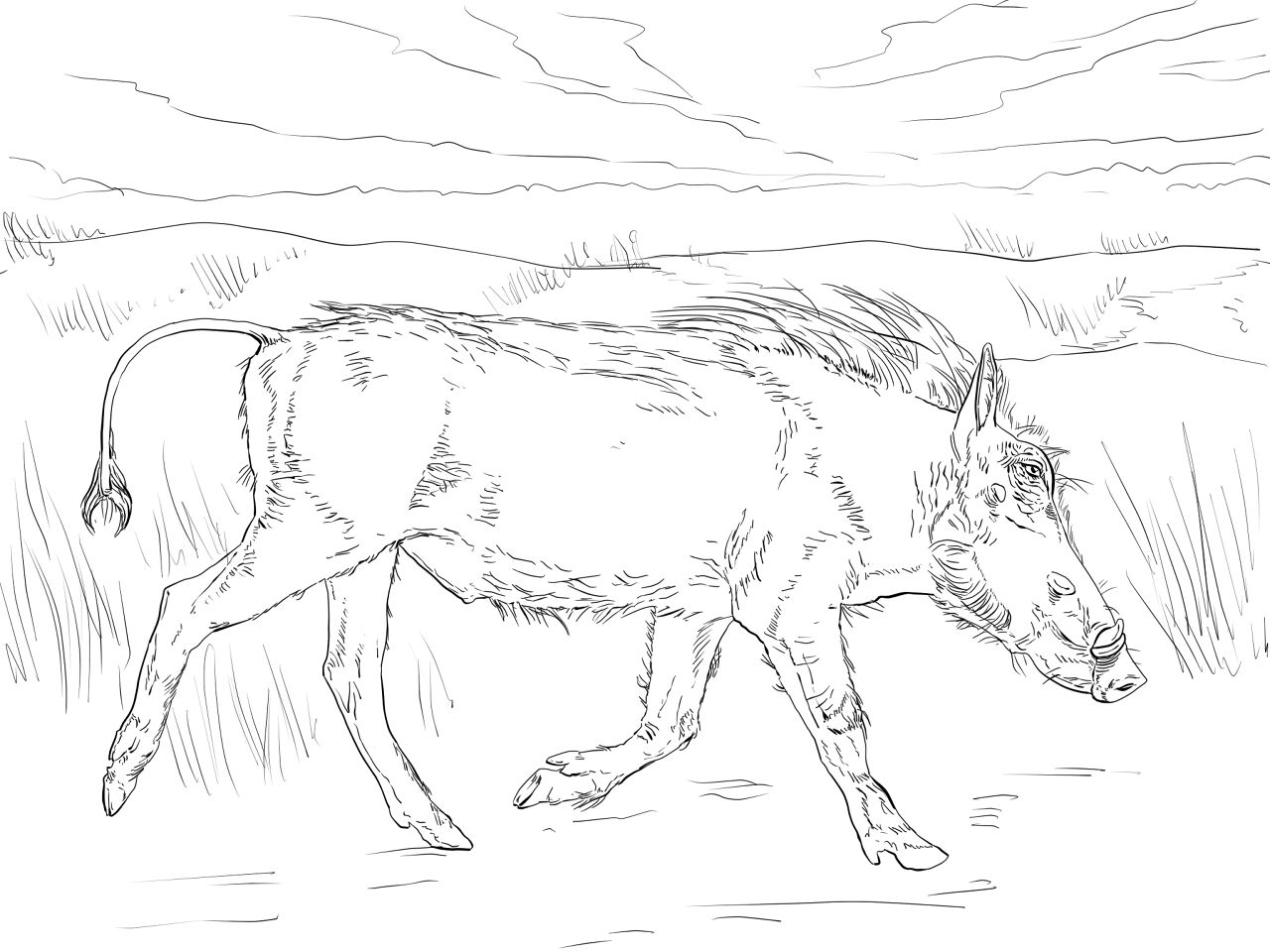 Desenho de Animais Do Safári para colorir