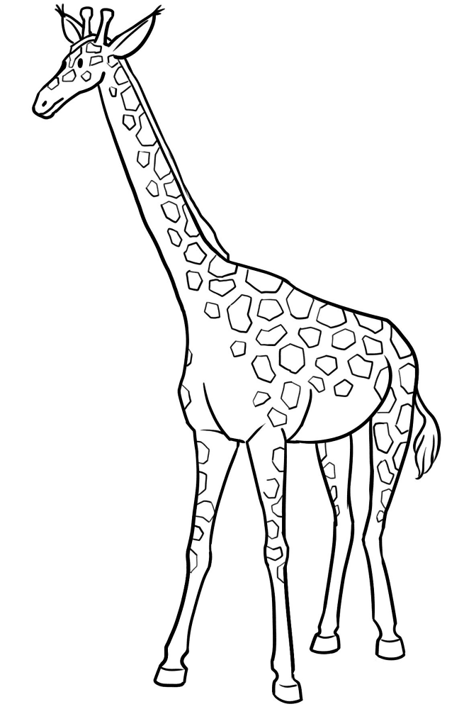 Desenho de Animais Do Zoológico para colorir e imprimir: número 7