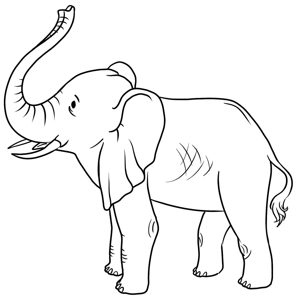 Desenho de Animais Do Zoológico para colorir e imprimir: número 8