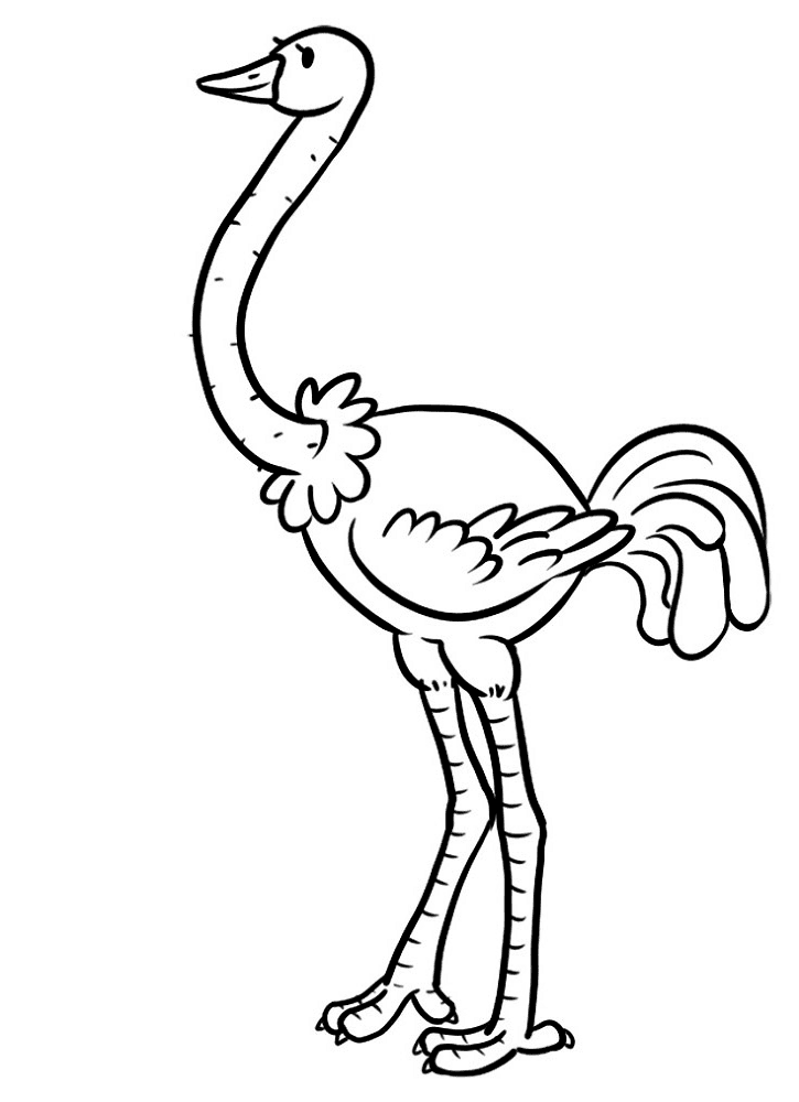 Desenho de Animais Do Zoológico para colorir e imprimir: número 18