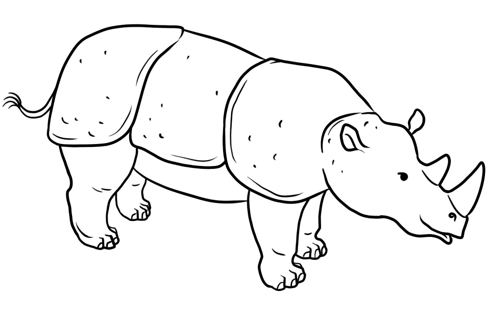Desenho de Animais Do Zoológico para colorir e imprimir: número 19