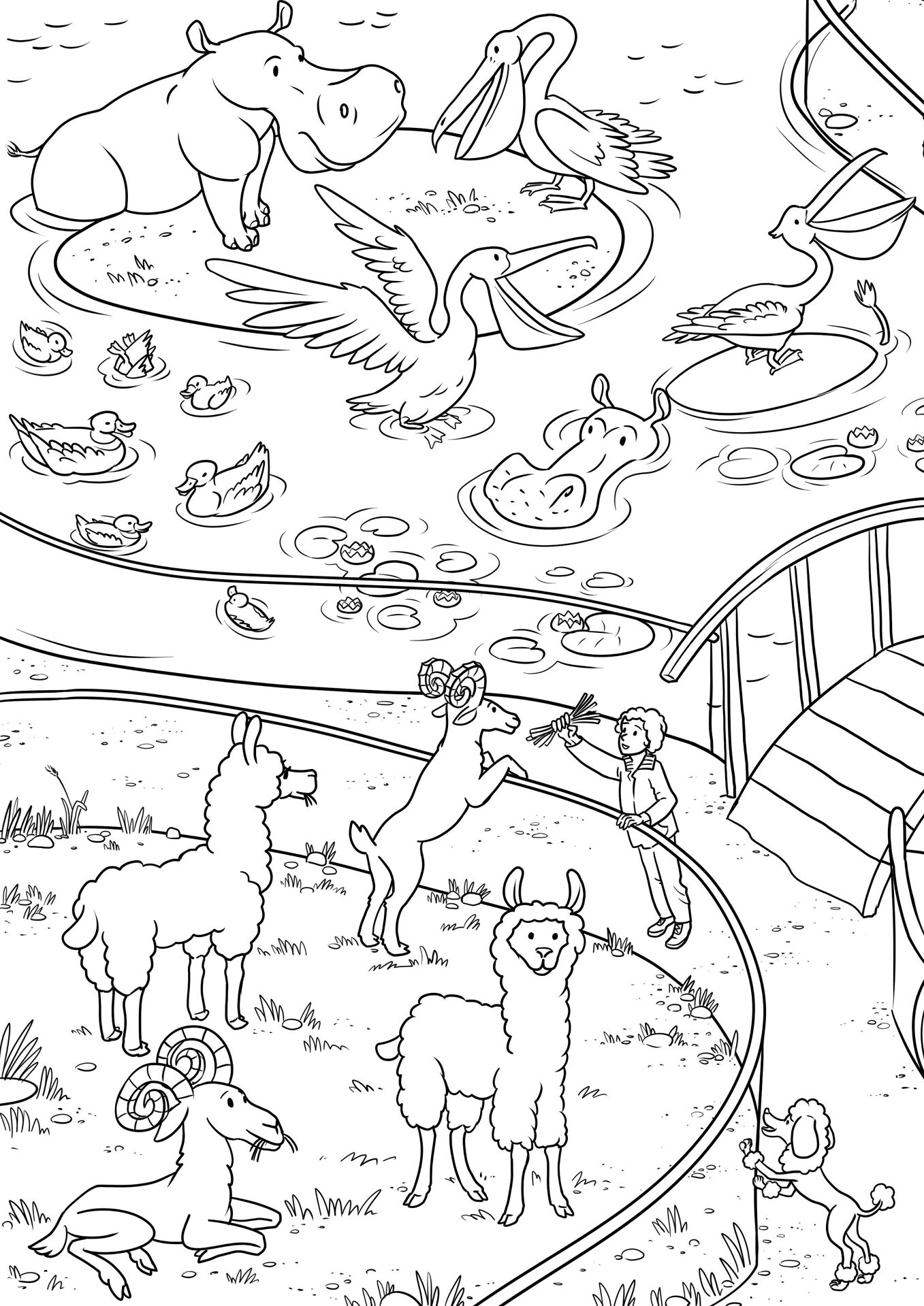 Desenho de Animais Do Zoológico para colorir e imprimir: número 34