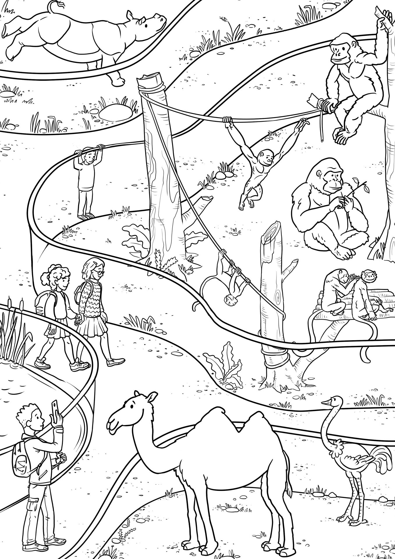 Desenho de Animais Do Zoológico para colorir e imprimir: número 35