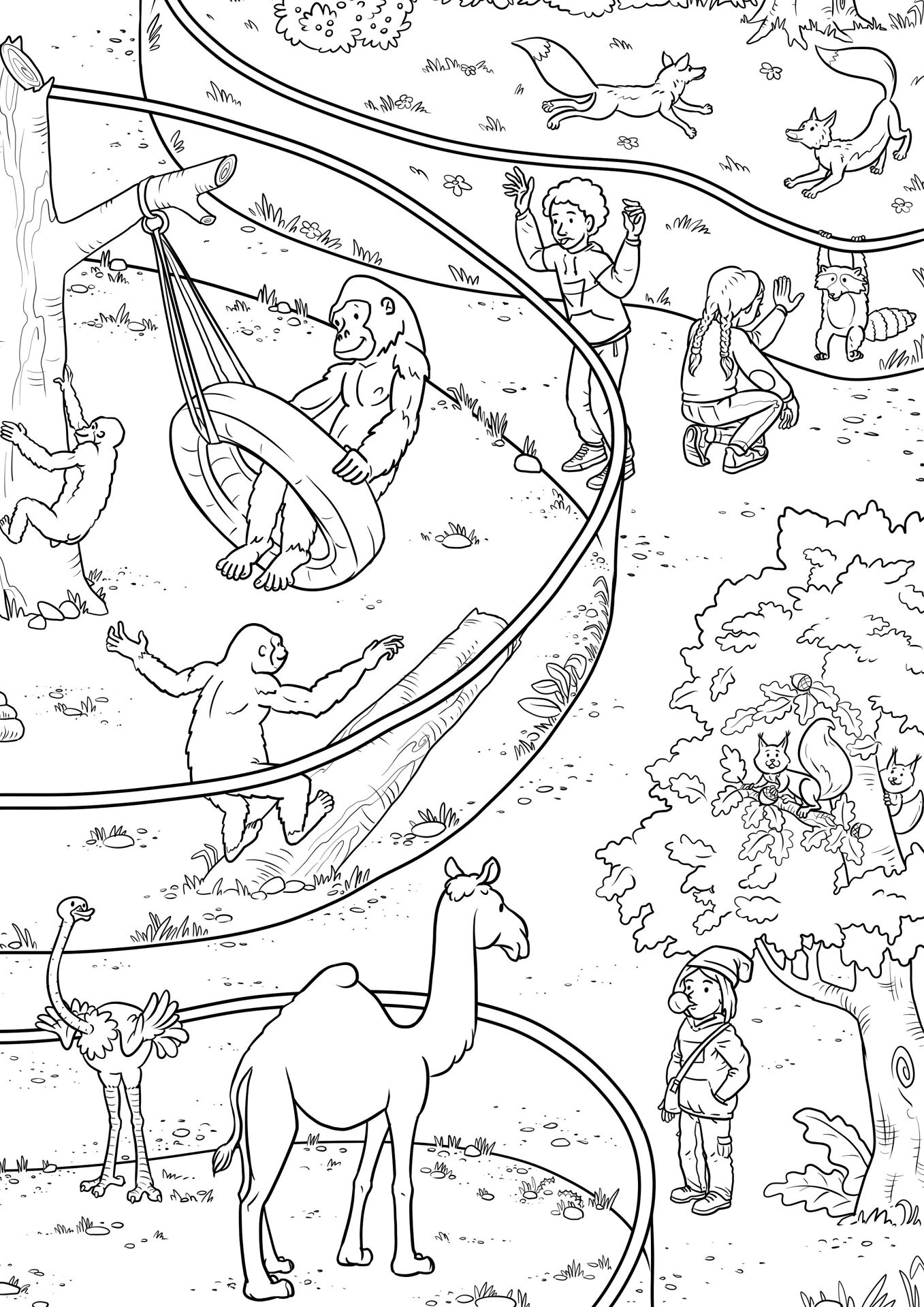 Desenho de Animais Do Zoológico para colorir e imprimir: número 36