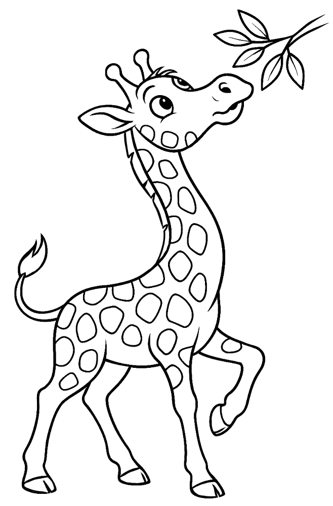 Desenho de Animais Do Zoológico para colorir e imprimir: número 37