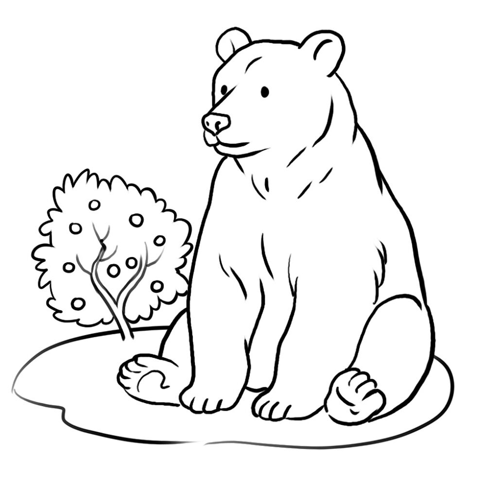 Desenho de Animais Do Zoológico para colorir e imprimir: número 38