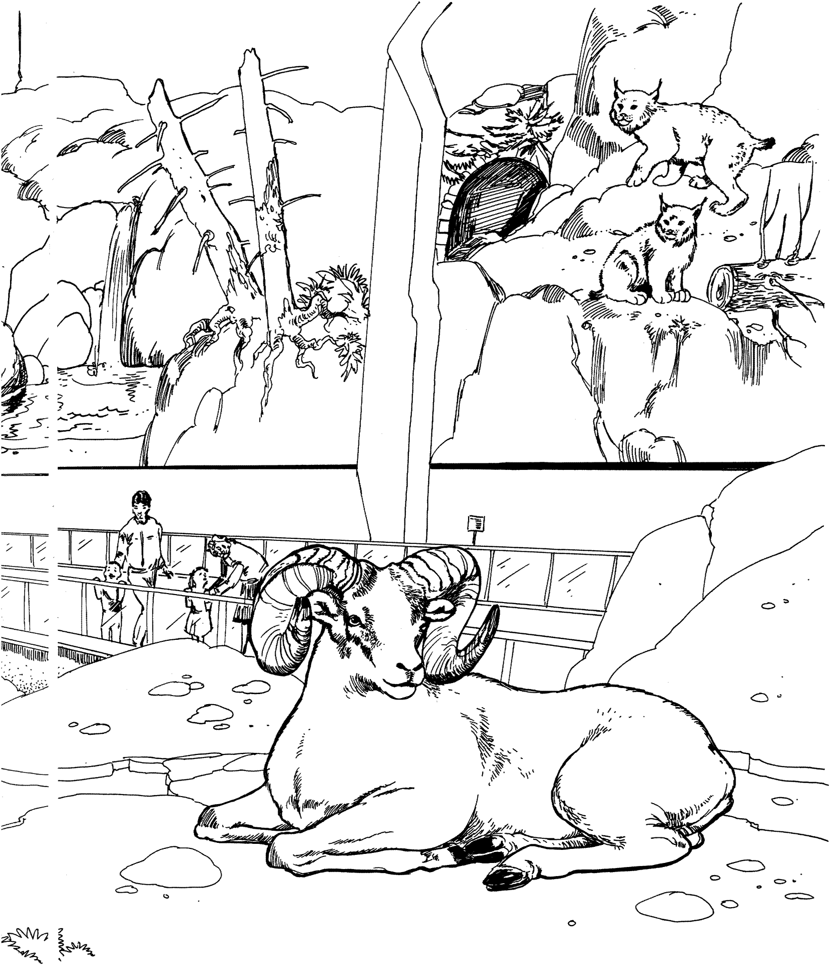 Desenho de Animais Do Zoológico para colorir e imprimir: número 39