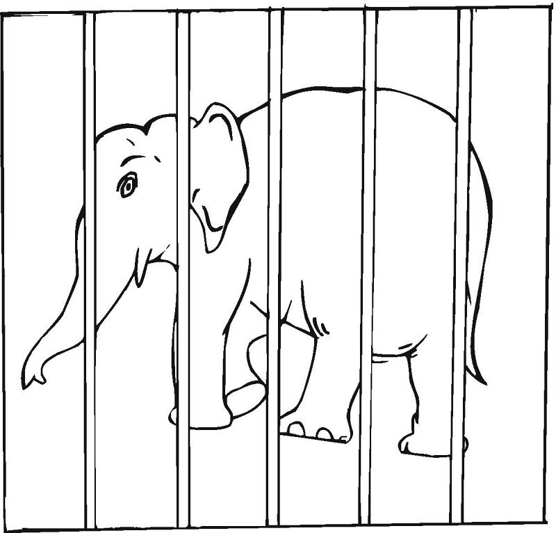 Desenho de Animais Do Zoológico para colorir e imprimir: número 44