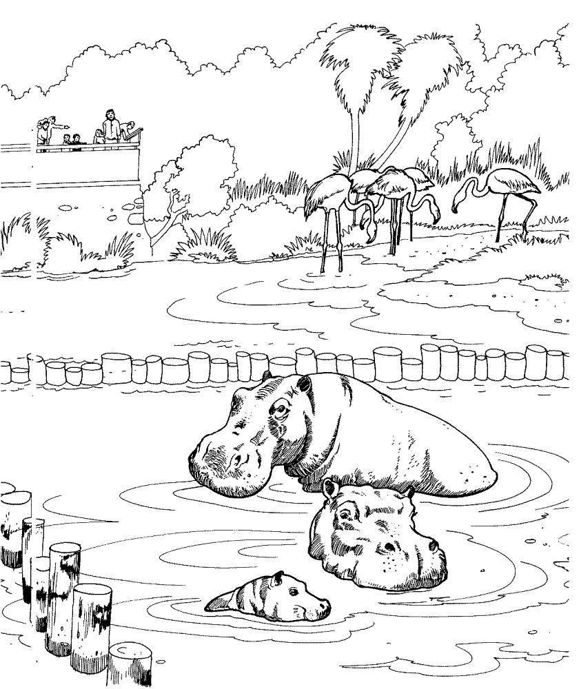 Desenho de Animais Do Zoológico para colorir