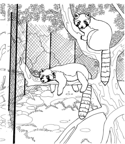 Desenho de Animais Do Zoológico para colorir