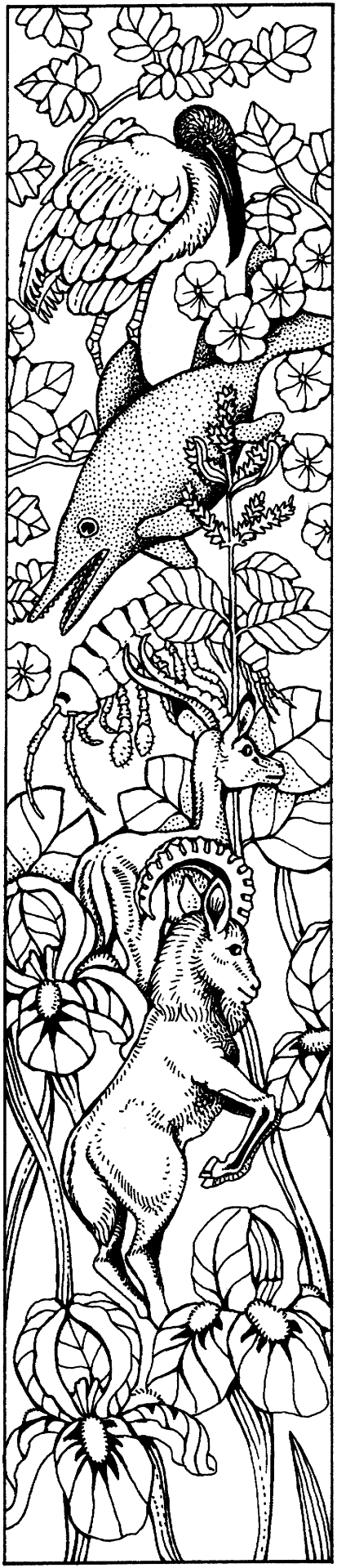 Desenho de Animais Do Zoológico para colorir