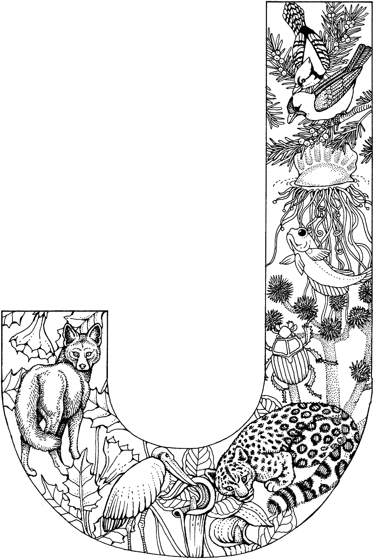Desenho de Animais Do Zoológico para colorir