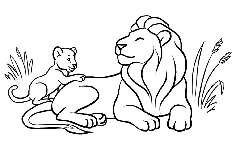 Desenho de Animais Do Zoológico para colorir