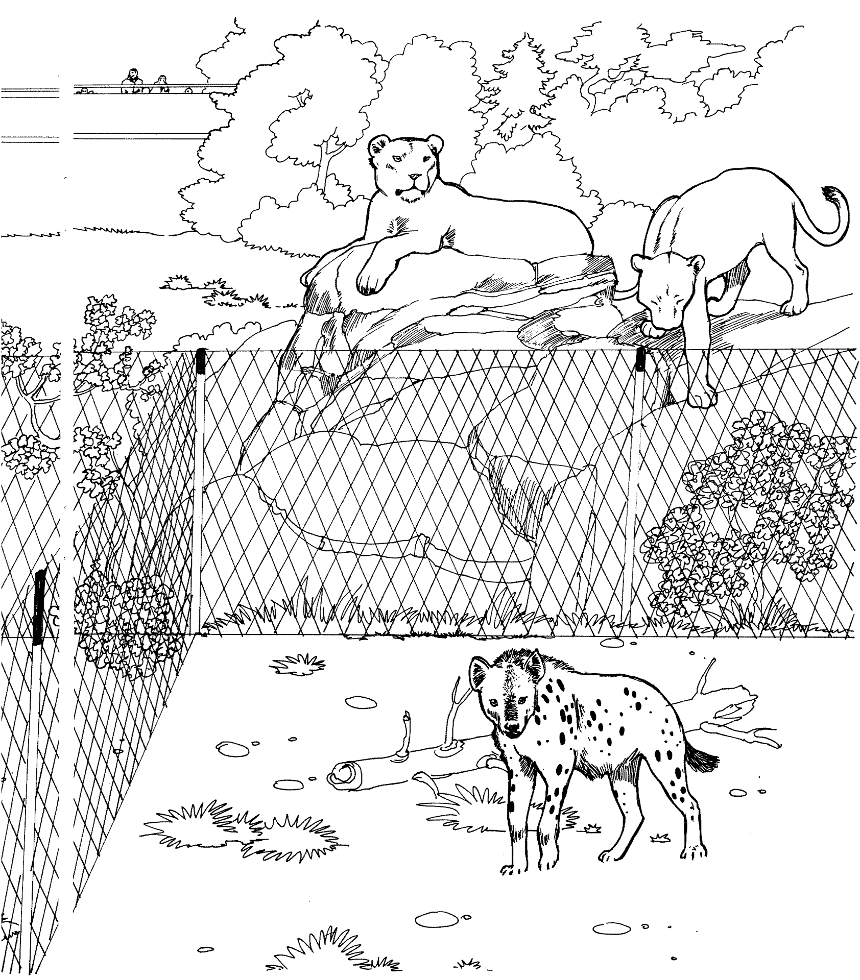 Desenho de Animais Do Zoológico para colorir