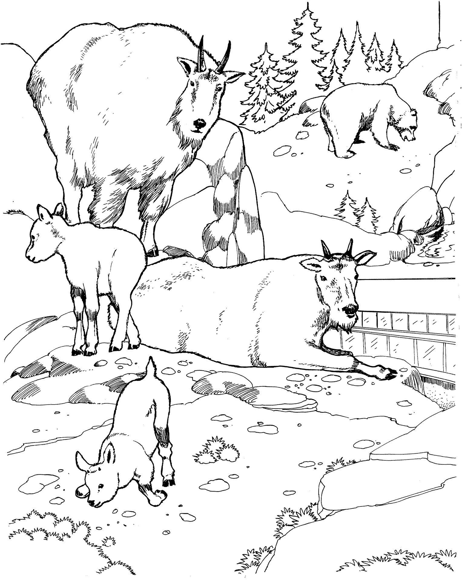 Desenho de Animais Do Zoológico para colorir