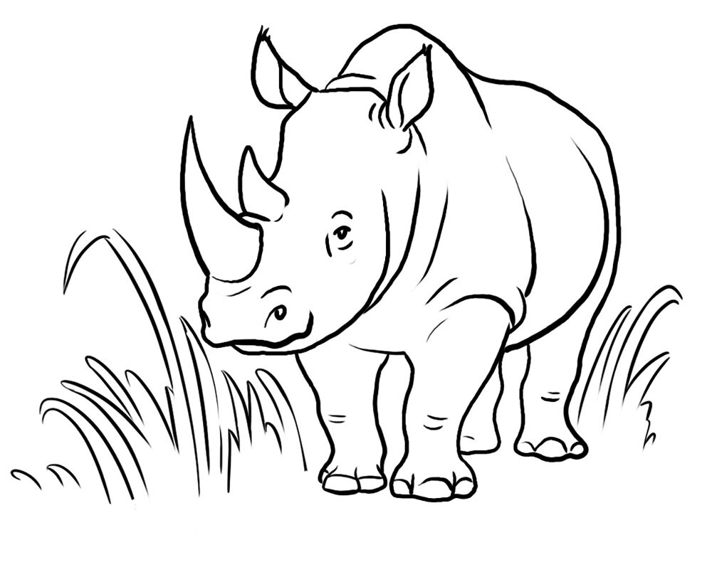 Desenho de Animais Do Zoológico para colorir