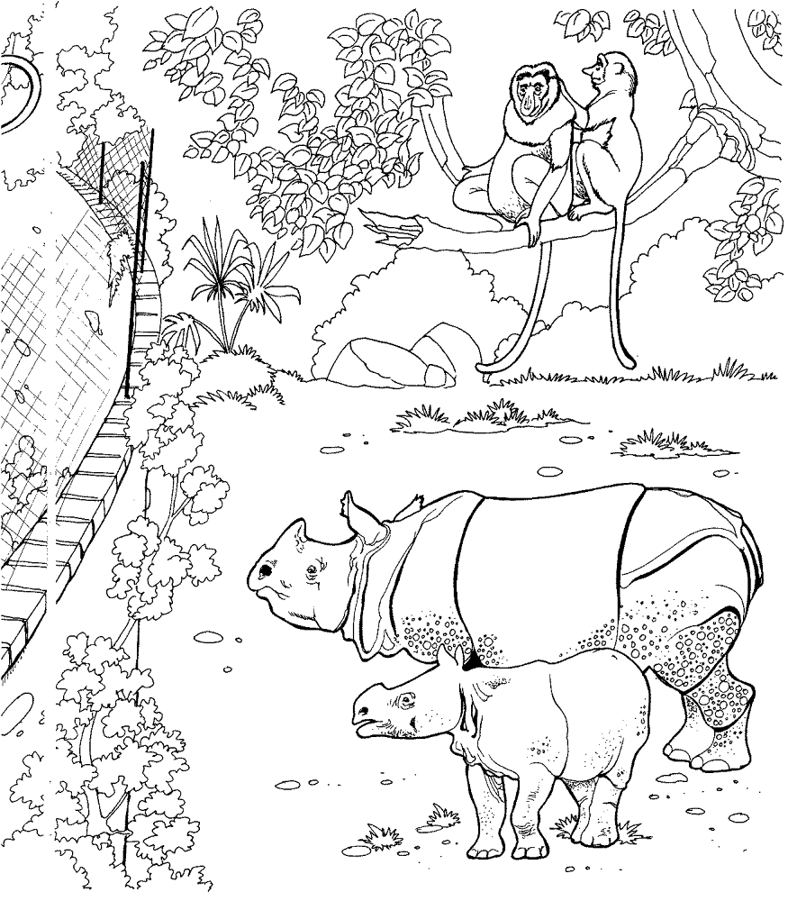 Desenho de Animais Do Zoológico para colorir