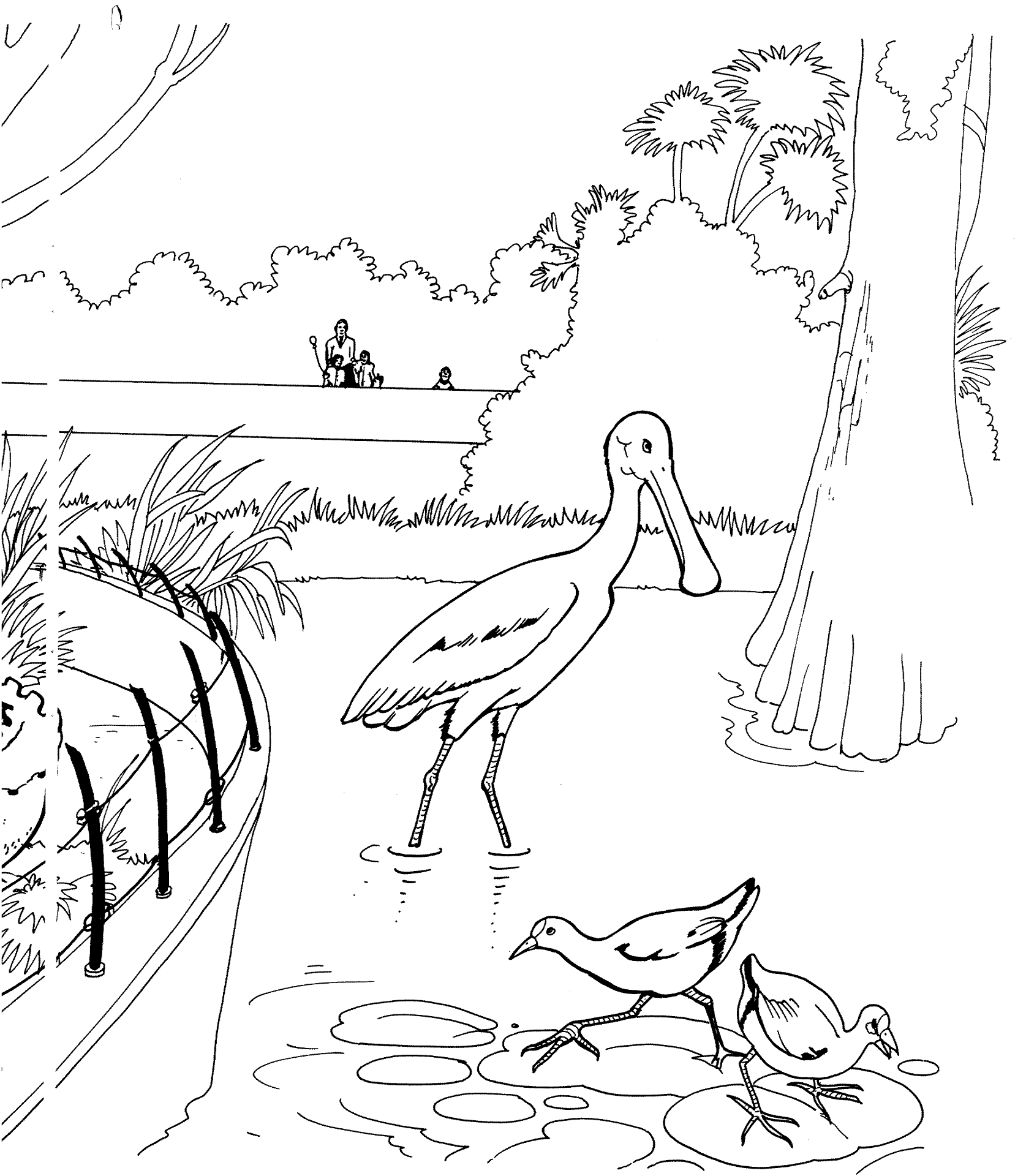 Desenho de Animais Do Zoológico para colorir