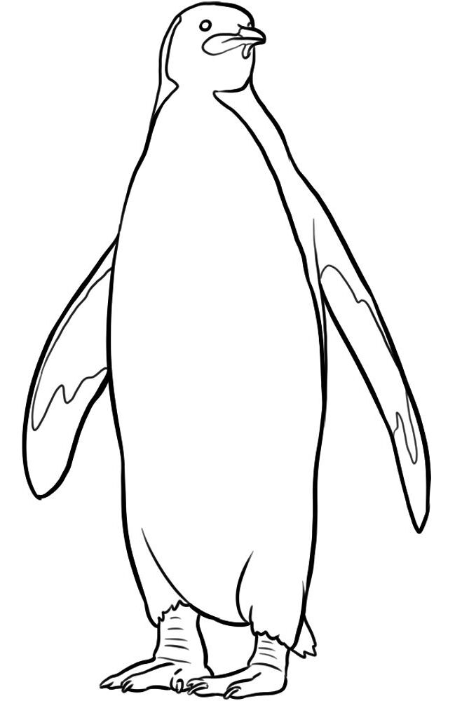 Desenho de Animais Do Zoológico para colorir